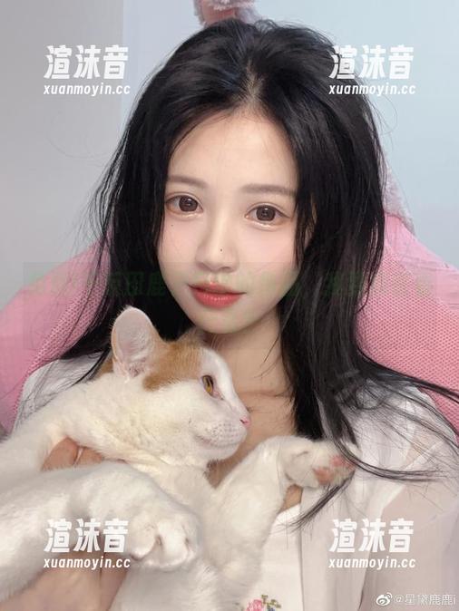 免费!千反田鹿子日常的作品，我到底在看什么？