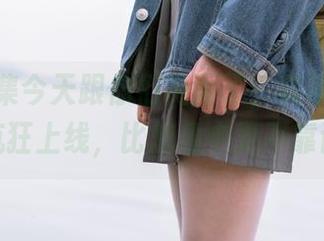 黑网合集今天跟你们见面了，森萝财团最新疯狂上线，比想象中更不靠谱！